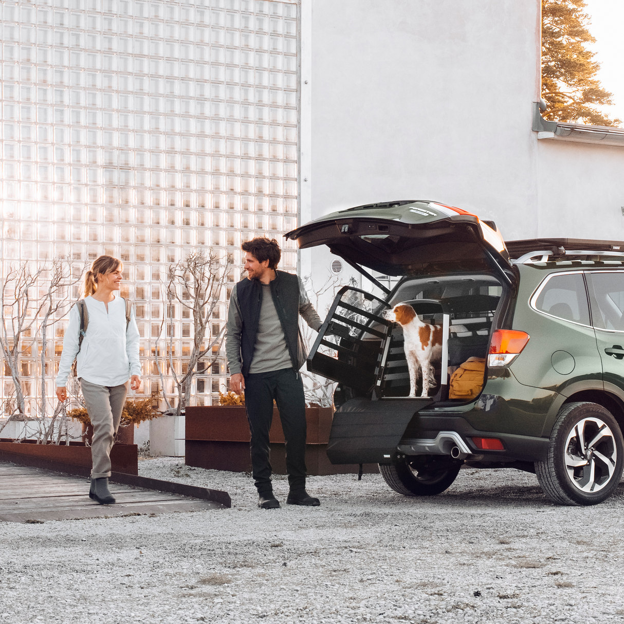 Thule Bumper Protect Standard Pet