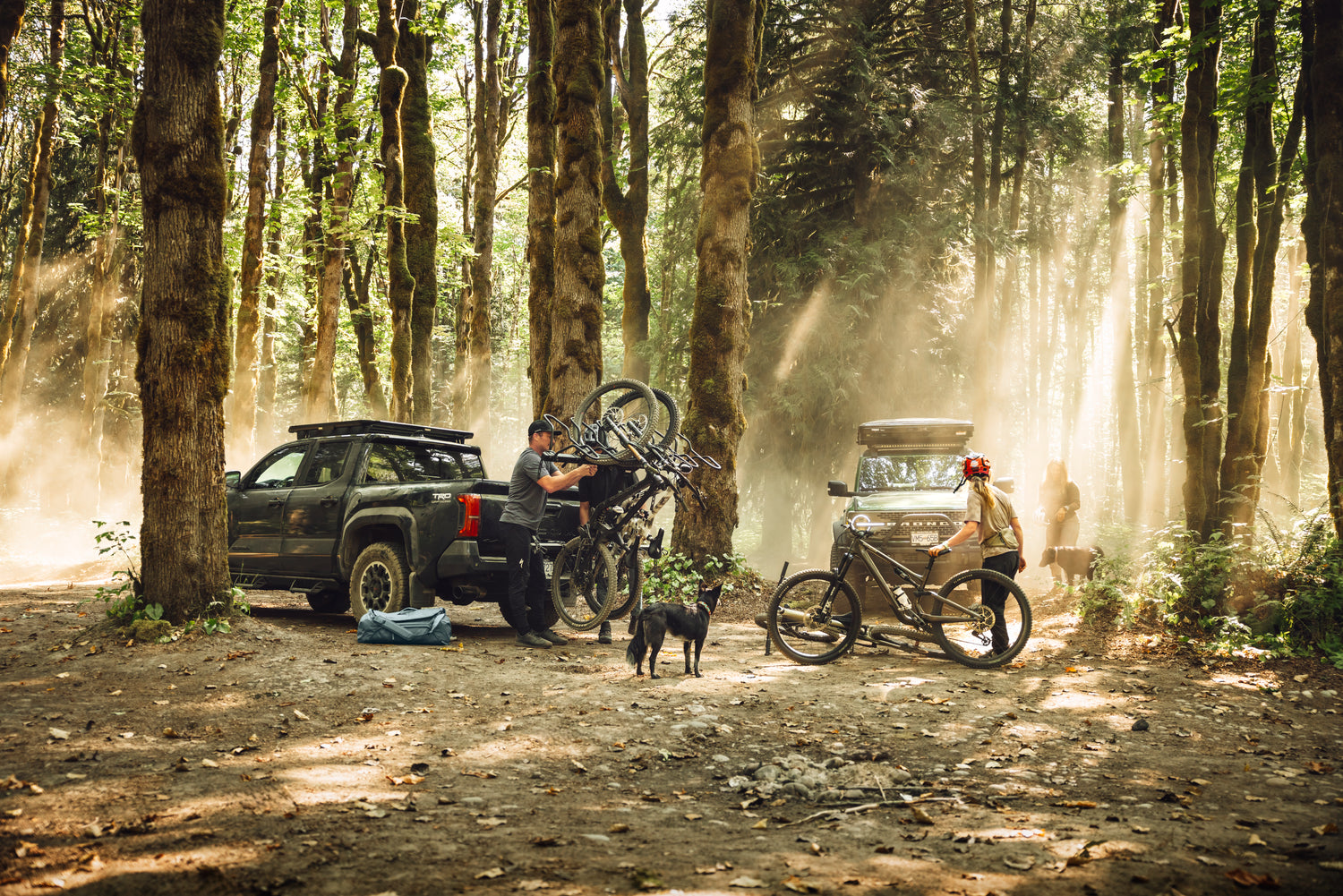 Thule ReVert Bike Racks