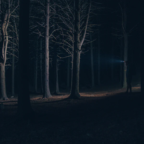 Claymore CAPON 40B Headlamp - Modula Racks