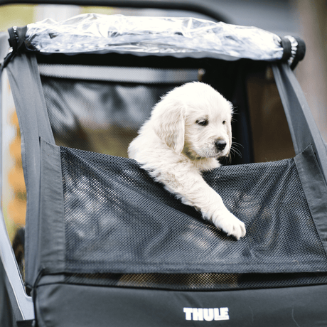 Thule Courier Dog Trailer Kit Pet