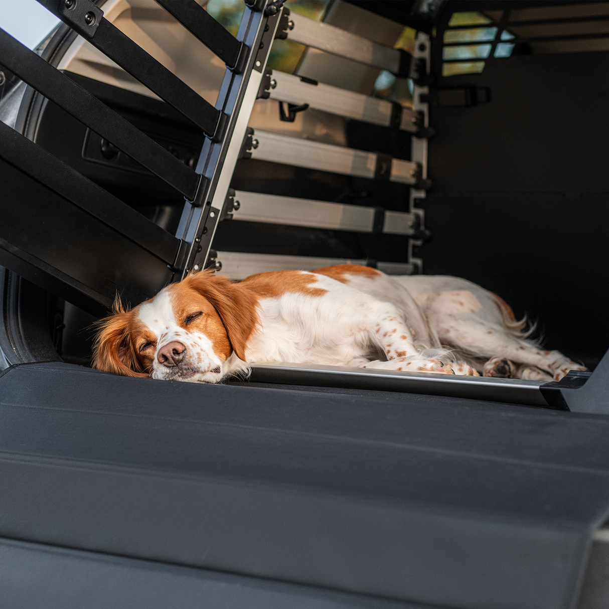 Thule Dog Crate Mat Double - 770107 Pet