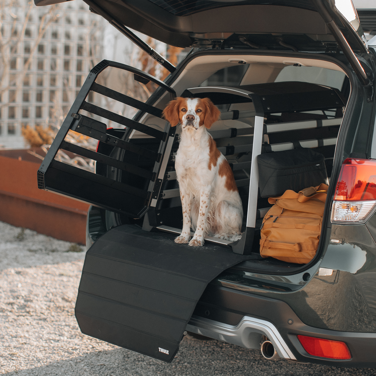 Thule Dog Crate Mat Double - 770107 Pet