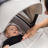 Thule Bassinet Stroller