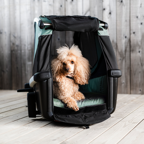 Thule Bexey M Pet