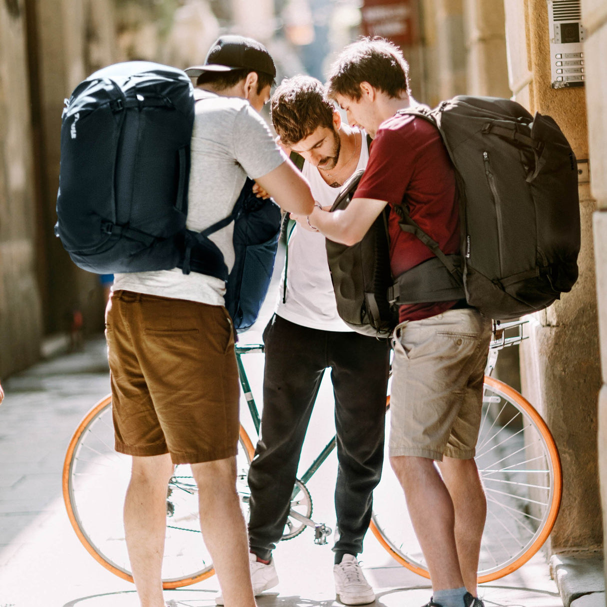 Thule Landmark 70L Softgoods