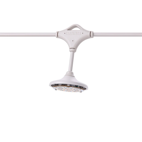 Claymore Cadena 7 Lighting