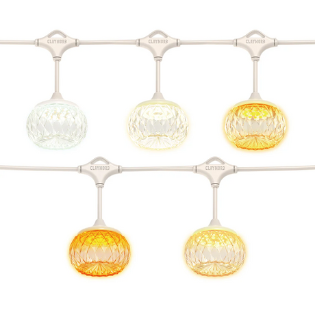 Claymore Cadena 7 Lighting