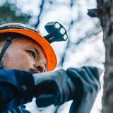 Claymore CAPON 200H Lighting