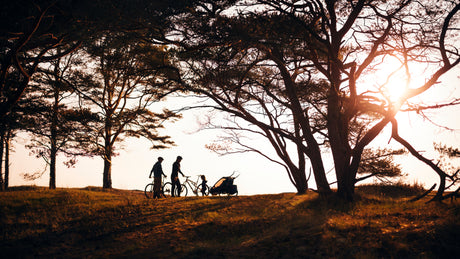 Thule Chariot Cross 2 Single Bike Rack Accessories