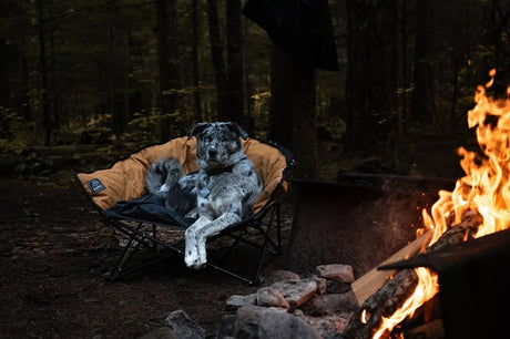 Kuma Outdoor Gear Lazy Dog Bed Camp Furniture
