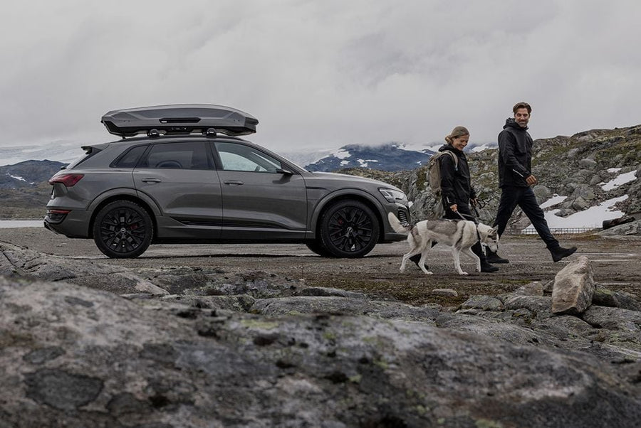 Car with a roof cargo box
