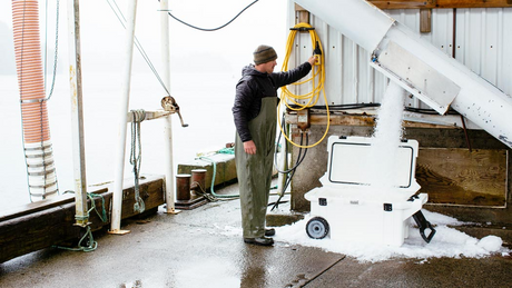 PELICAN 80QW Elite Wheeled Cooler Camp Kitchen