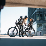 Thule Yepp Nexxt 2 Maxi Kids