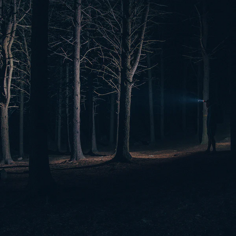 Claymore CAPON 40B Headlamp - Modula Racks