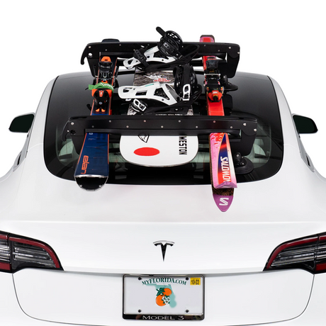 SeaSucker Classic Ski Rack Universal Ski Rack - Modula Racks